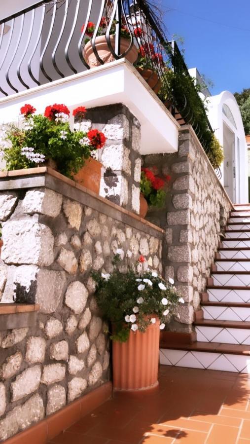 Marvelous Sea View Villa Капрі Екстер'єр фото
